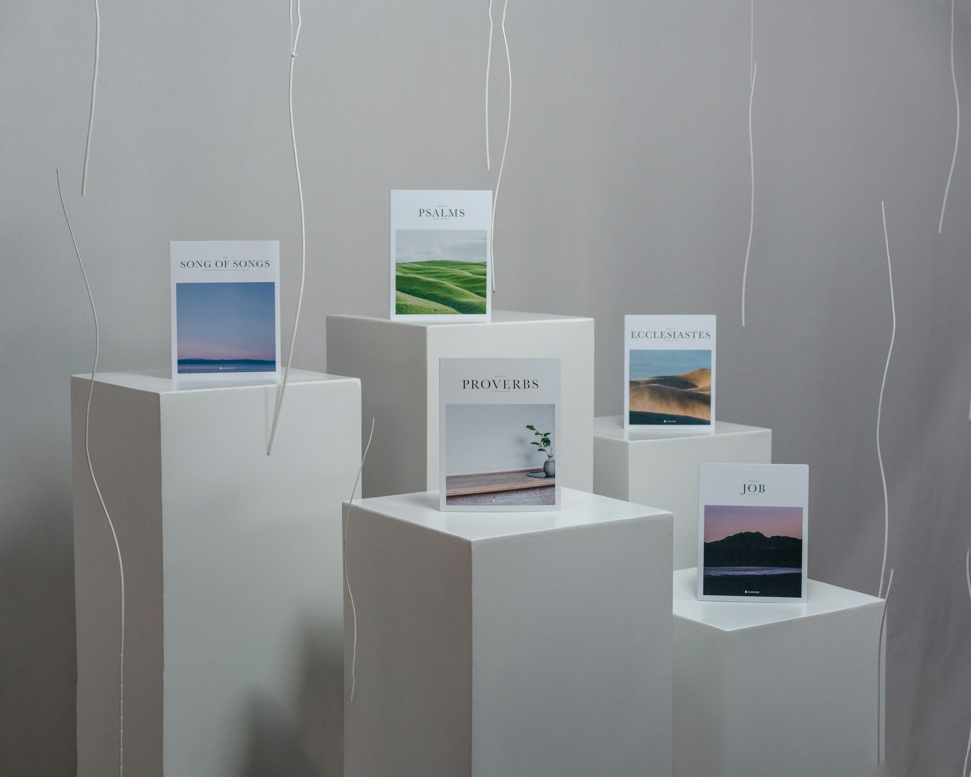 Art Installation Series